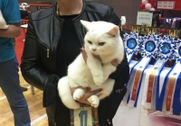� ����� ������ ������ ��������-���������� �������� �����