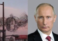 � ���� ��� ���-������ ������� ������� ������ 