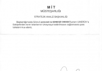 �����������: ������ ���������� ���������������� ������������ � ���������